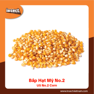 <b>Bắp Hạt Mỹ No.2</b>