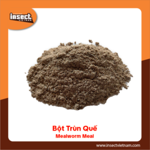<b>Bột Trùn Quế</b>