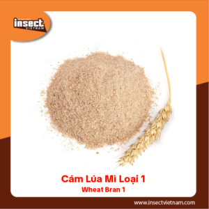 <b>Cám Lúa Mì loại 1</b>