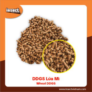 <b>DDGS Lúa Mì</b>