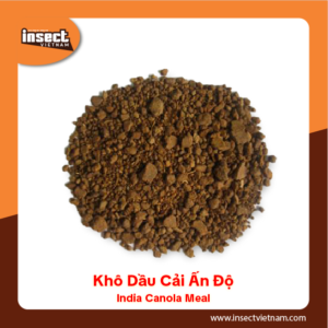 <b>Khô Dầu Cải Ấn Độ</b>