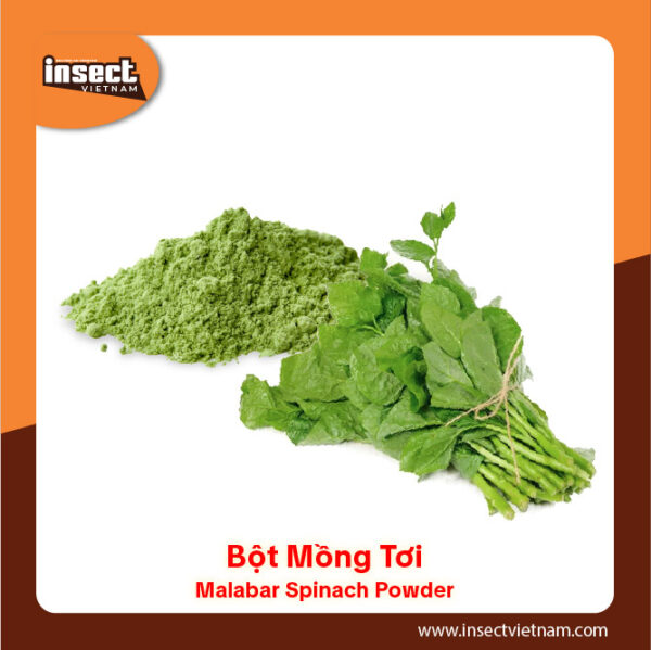Bột Mồng Tơi - Insect Vietnam